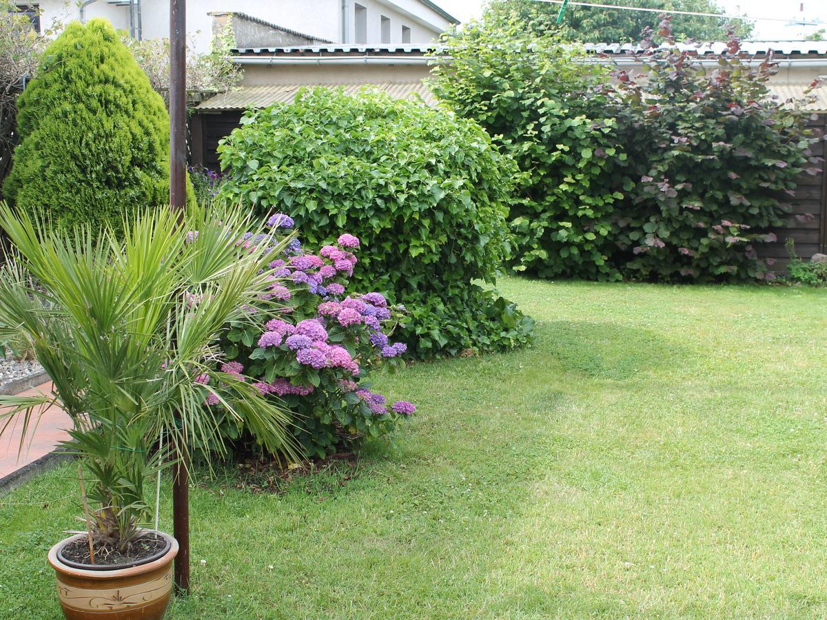 Apartment Rerik With Fenced Garden エクステリア 写真