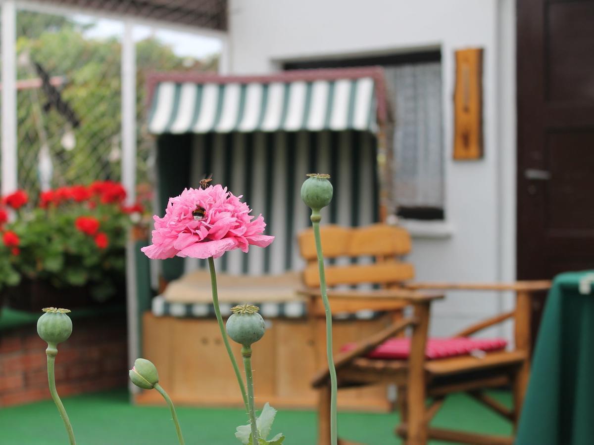 Apartment Rerik With Fenced Garden エクステリア 写真